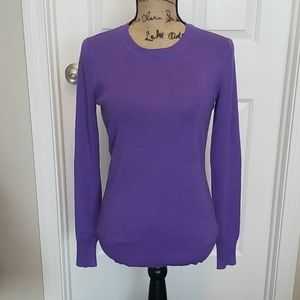 Express Fitted Crewneck Sweater - NWT